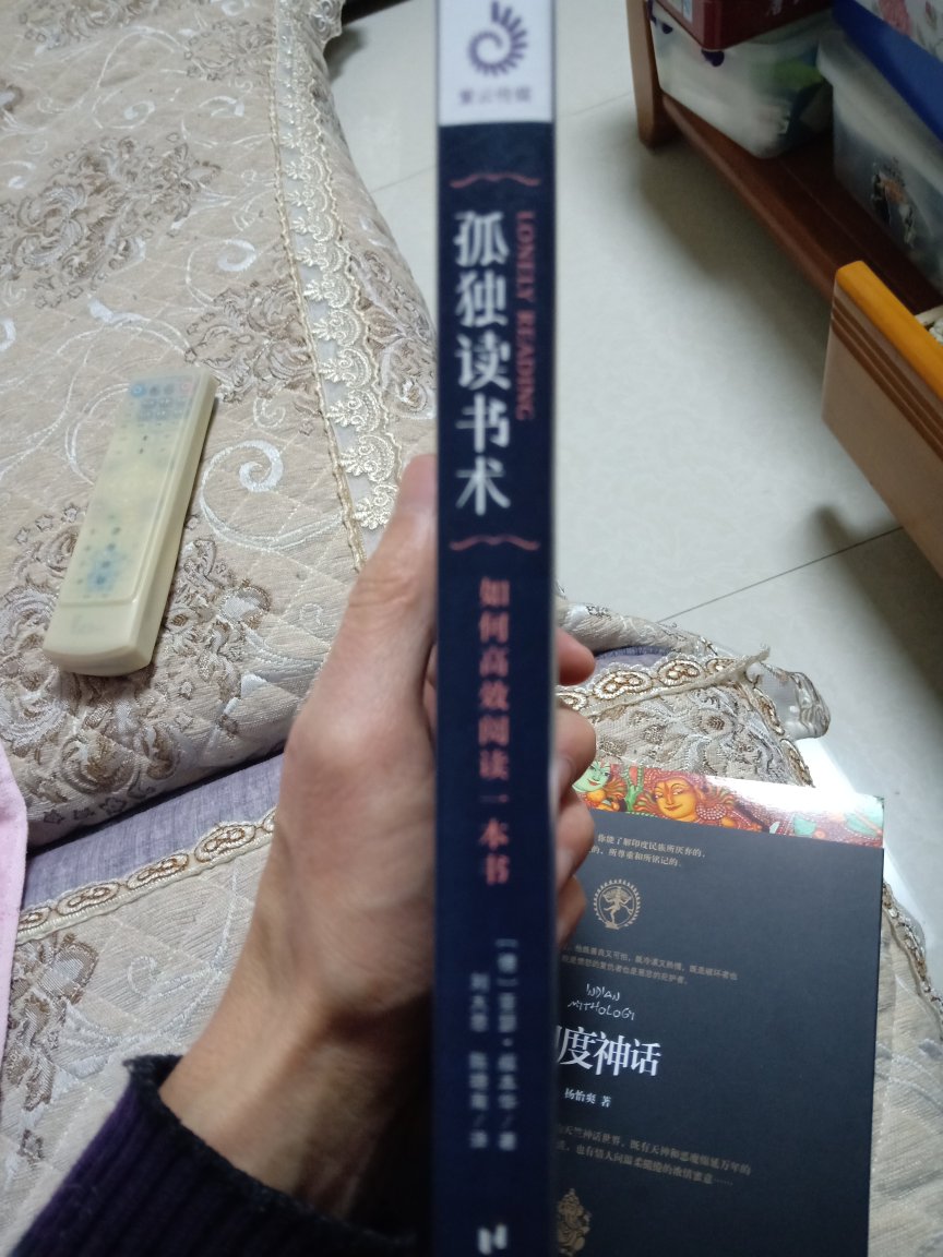 感觉就是叔本华的读书随笔，为台湾译者刘大悲、陈哓南所译。