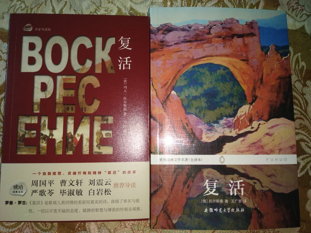 不小心买了两本复活，两本译本，个人更喜欢左边那本，要买的盆友，可以看看图片参考参考。