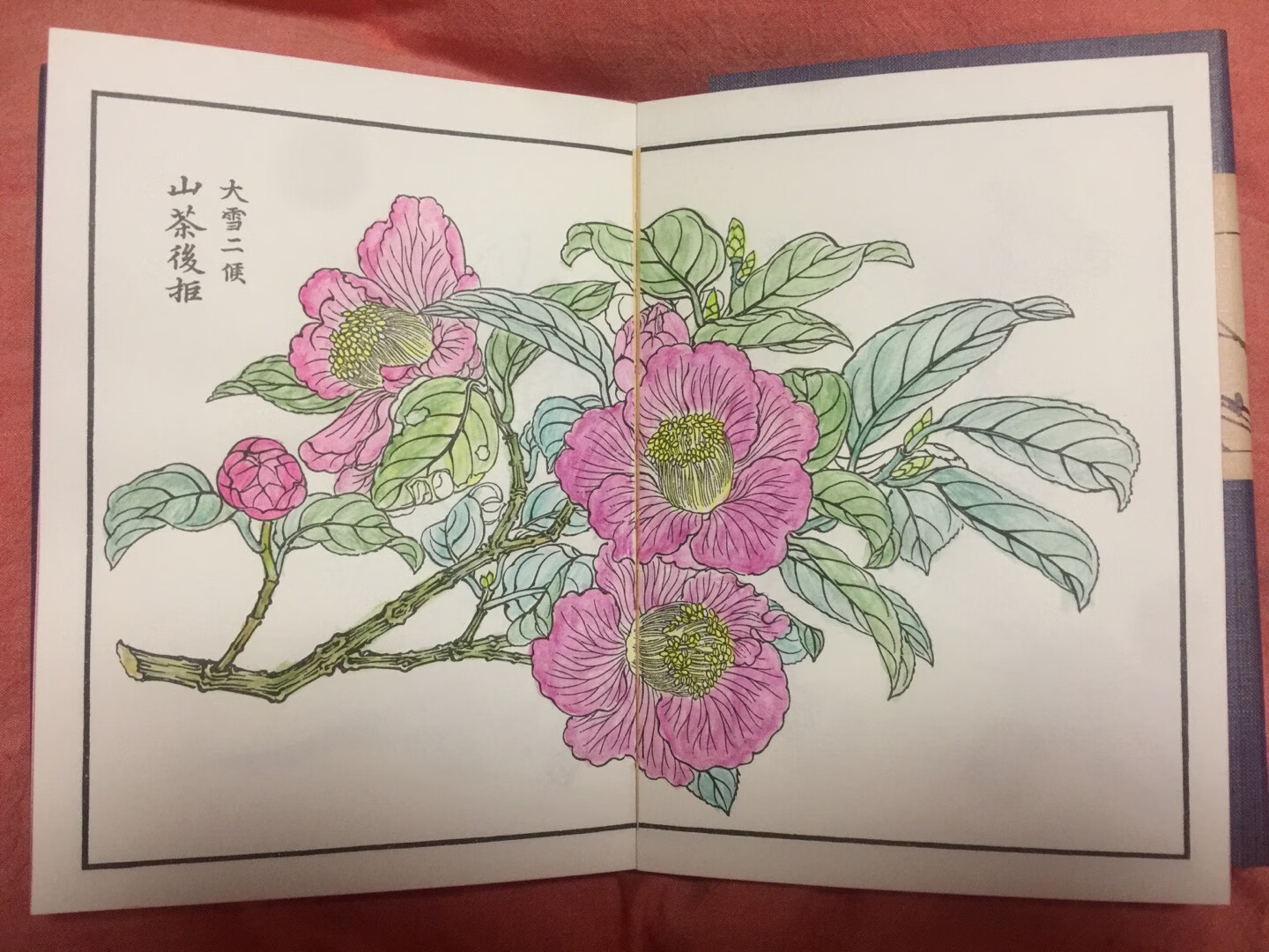 挺美的，适合没事的时候随手翻一翻。后面还有线稿可以自己上色，真不错