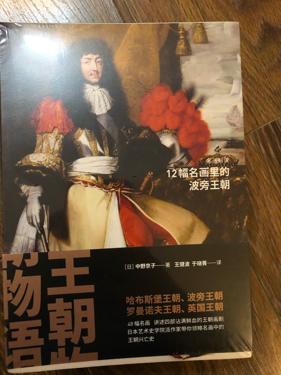 非常适合喜欢历史同时也喜欢绘画的人读，中野京子每本书都可以很愉快地读下去