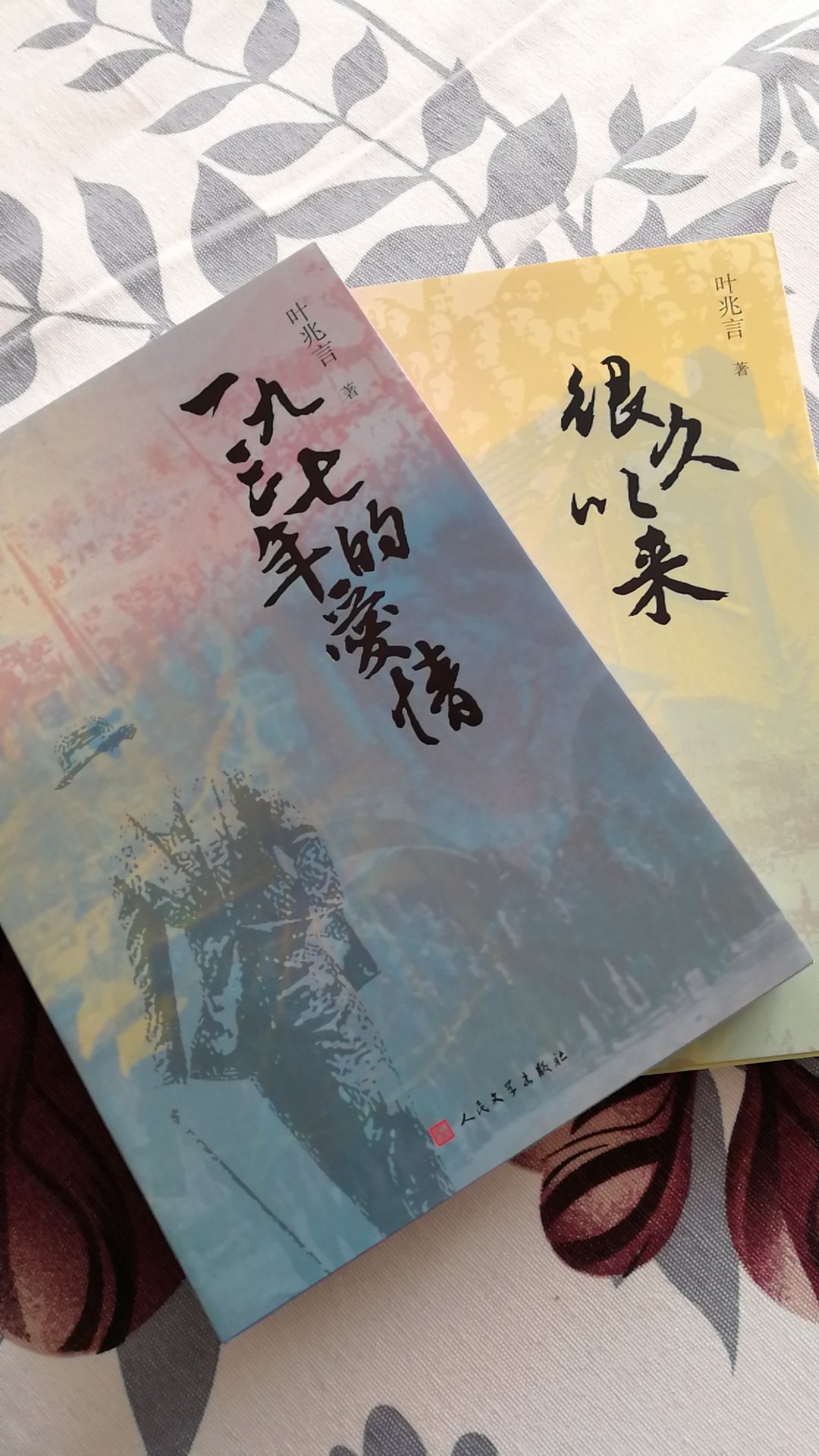 叶兆言的三部曲终于都收齐了，非常优秀的三部作品，看一看秦淮河畔的风土人情。