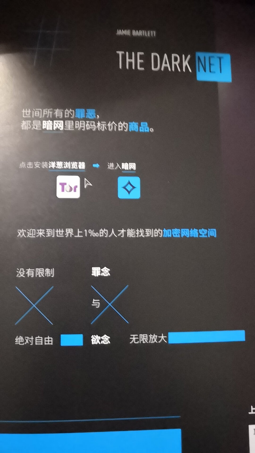 因为叛逆的大魔王一书，第一次知道了暗网和影网两个名词