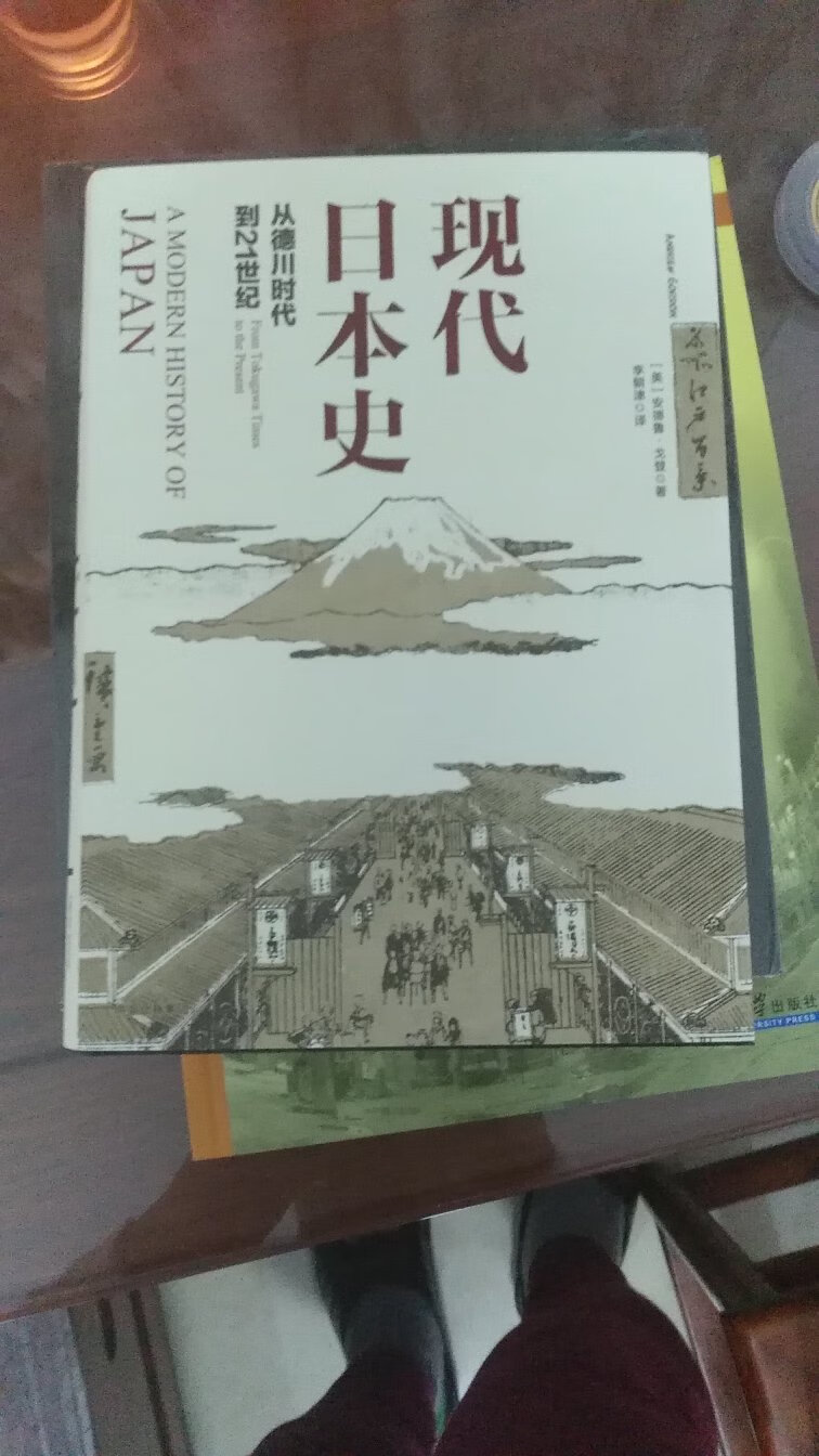 塑封包装，完好无损～全景介绍200年日本发展历程，尤其在于战前战后日本国内数据的分析。