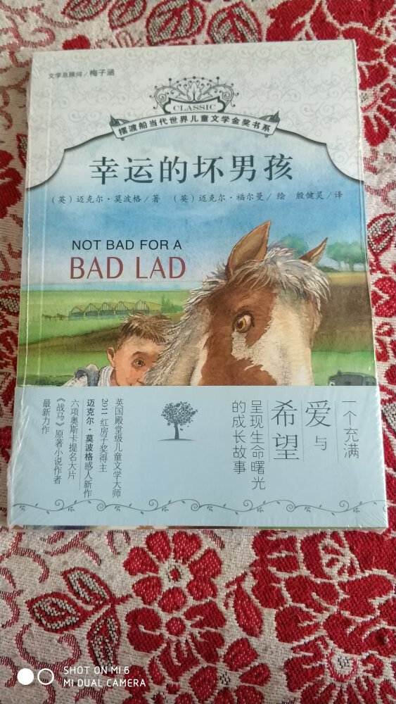 这本书是值得孩子孩子的好书