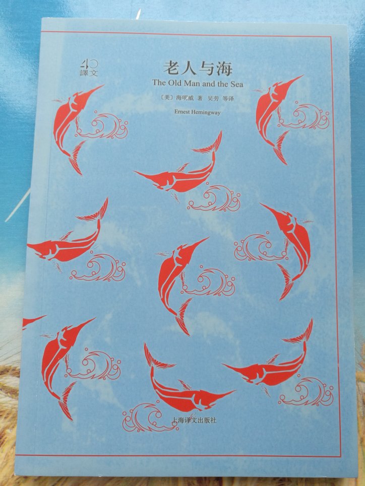 买的上海出版社，吴劳的译本，字体和行间距挺舒服的，正在阅读中