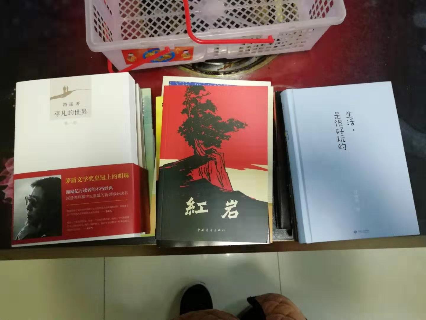 一口气在买了十本书，都是孩子课外阅读需要的。价格公道质量好，物流快捷没话说！下次买书还上！