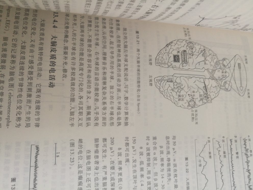 初学生物学的经典之作，为以后的细胞生物学，生物化学，生物进化学等打基础。