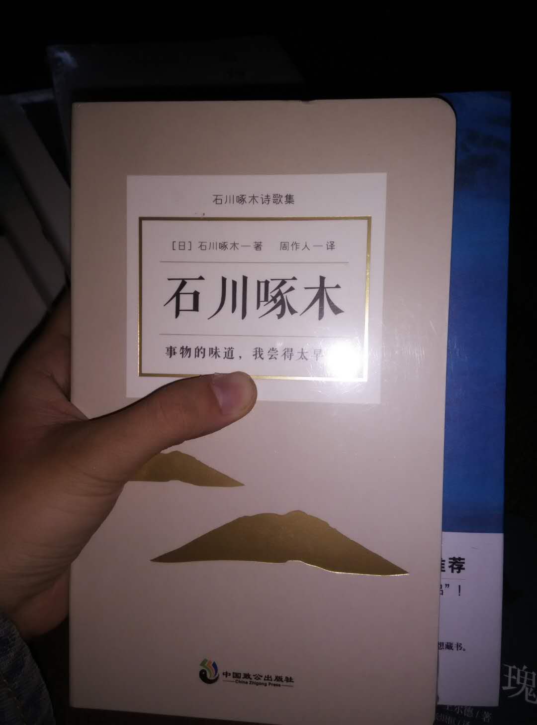 总感觉作者很伤感，就那种很难过说不出来的那种感觉。快递速度没话说，喜欢。愿各位不为尘世所及，依然满心欢喜。