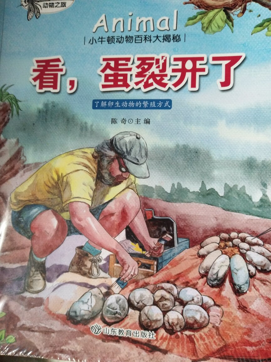 书很好，非常好看，孩子很喜欢。