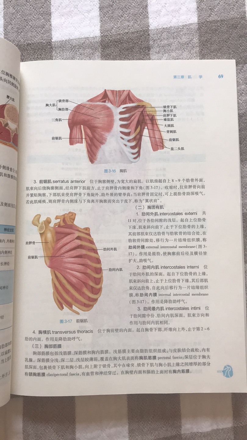 物流快，书也没有折损，彩图内容。