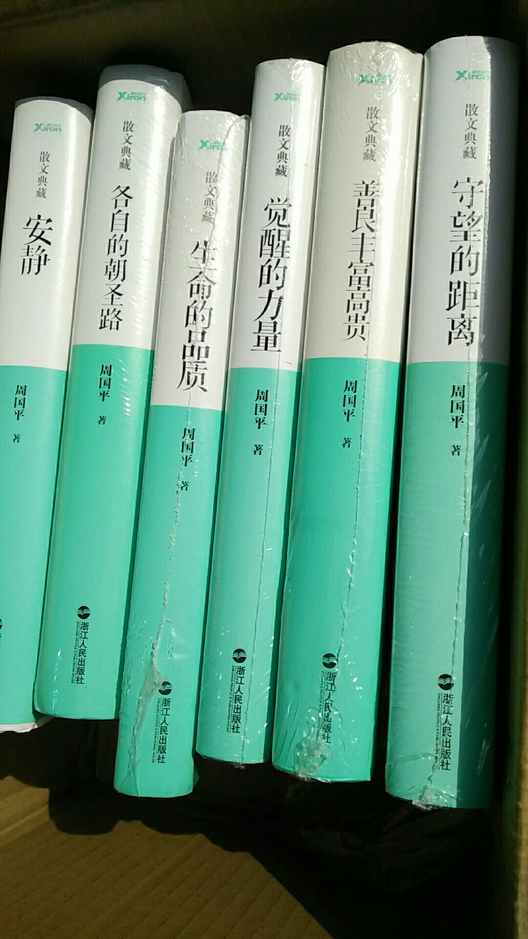 这套散文，是周国平三十年来写下的感触和思绪，里面对人生、人性、孤独、爱情、文学、艺术等多个主题，做了深入的思考。