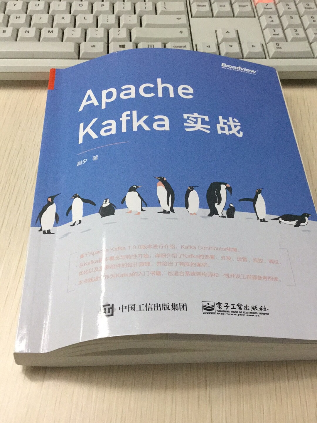 这本书结构安排很不错，清晰有序，讲解也通俗易懂，~一下，对于我这种初步卡夫卡的菜鸟很实用。