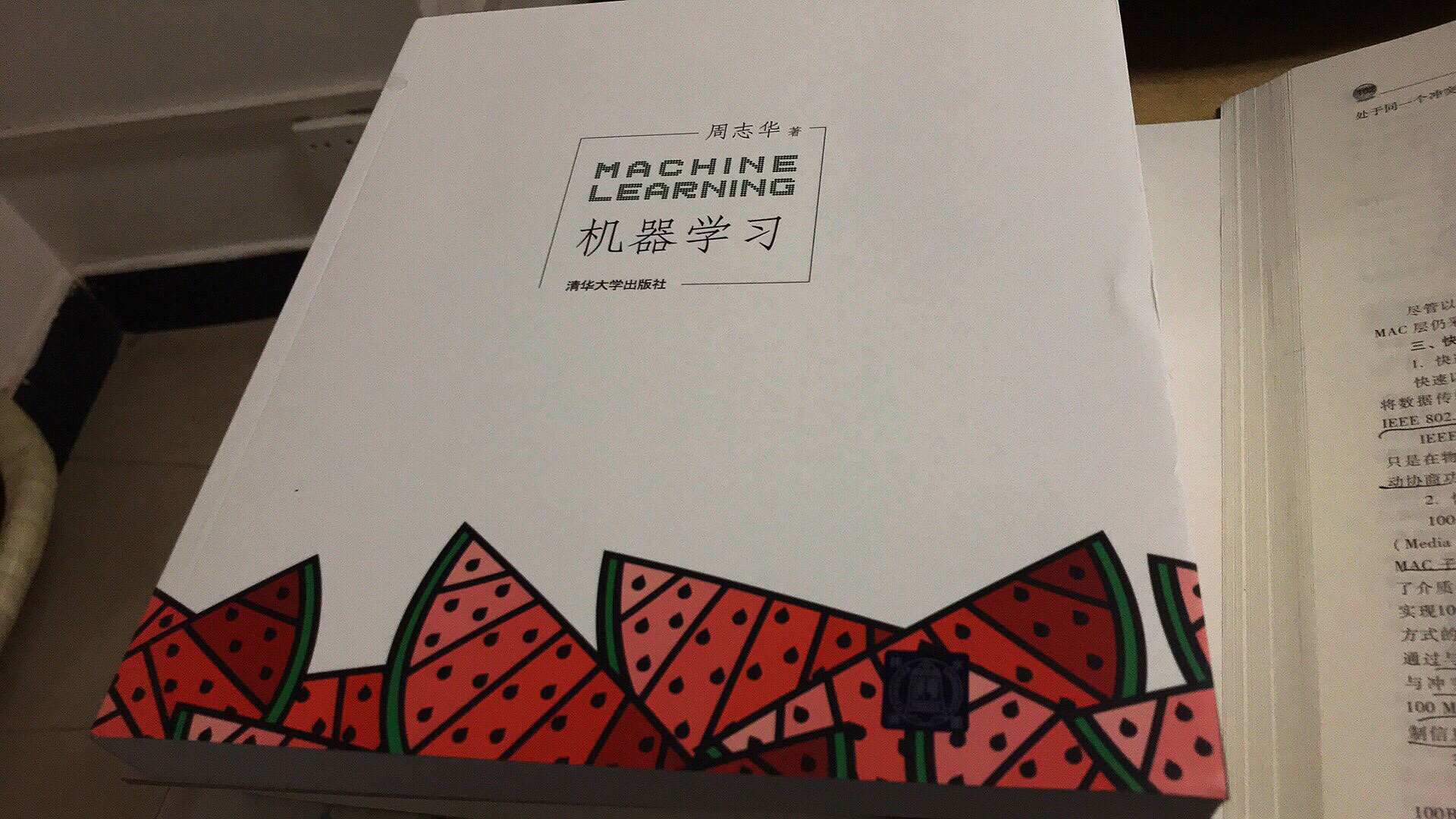 西瓜书！正是想要的，好好学学机器学习！