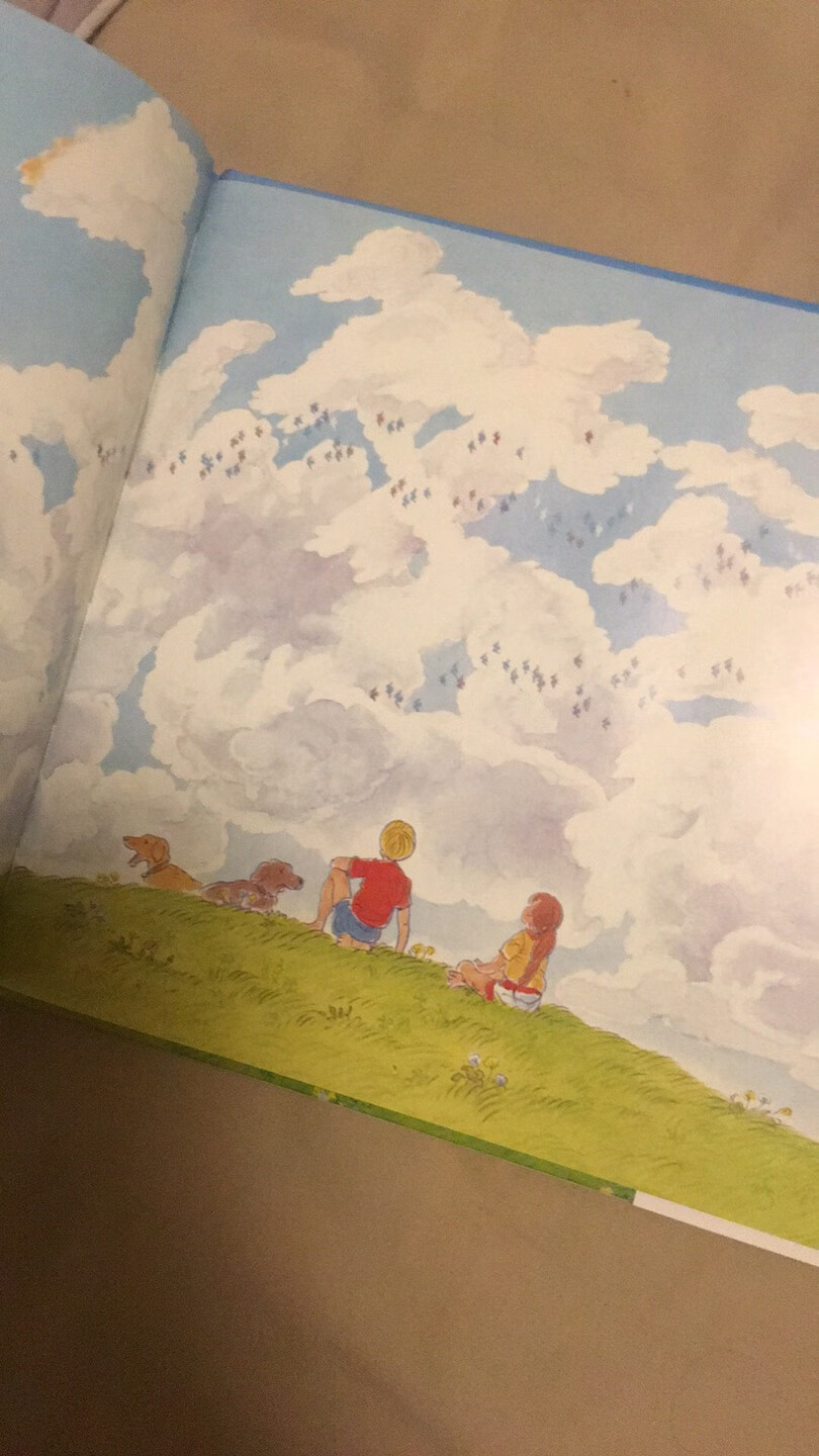 这本书没有字，全部是云朵的图片，蛮有想象力的一本书，希望宝宝长大了会喜欢。