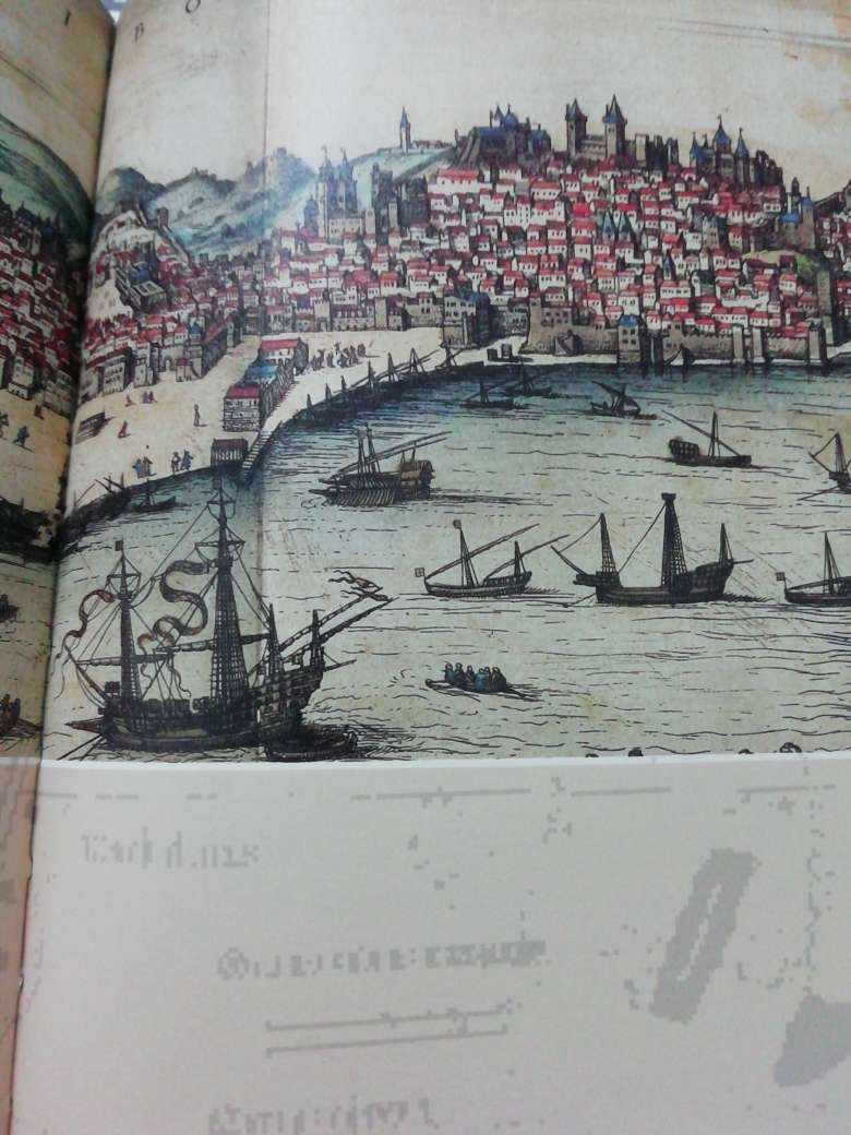 这是一部有关15世纪末葡萄牙航海家达伽马航海探险的著作。历史学家奈杰尔?克利夫利用新发现的材料，即达伽马水手的日记，以及难得一见的达伽马与印度土邦（现在的喀拉拉邦）首领之间的通信，对达伽马的开拓性航行做了全面、根本性地重新诠释。作者在书中揭示了达伽马的航行在基督教和伊斯兰教的斗争中所具有的决定性转折点的意义，向我们讲述了航海中的一系列事件如何长久性地改变了东西方之间的关系。