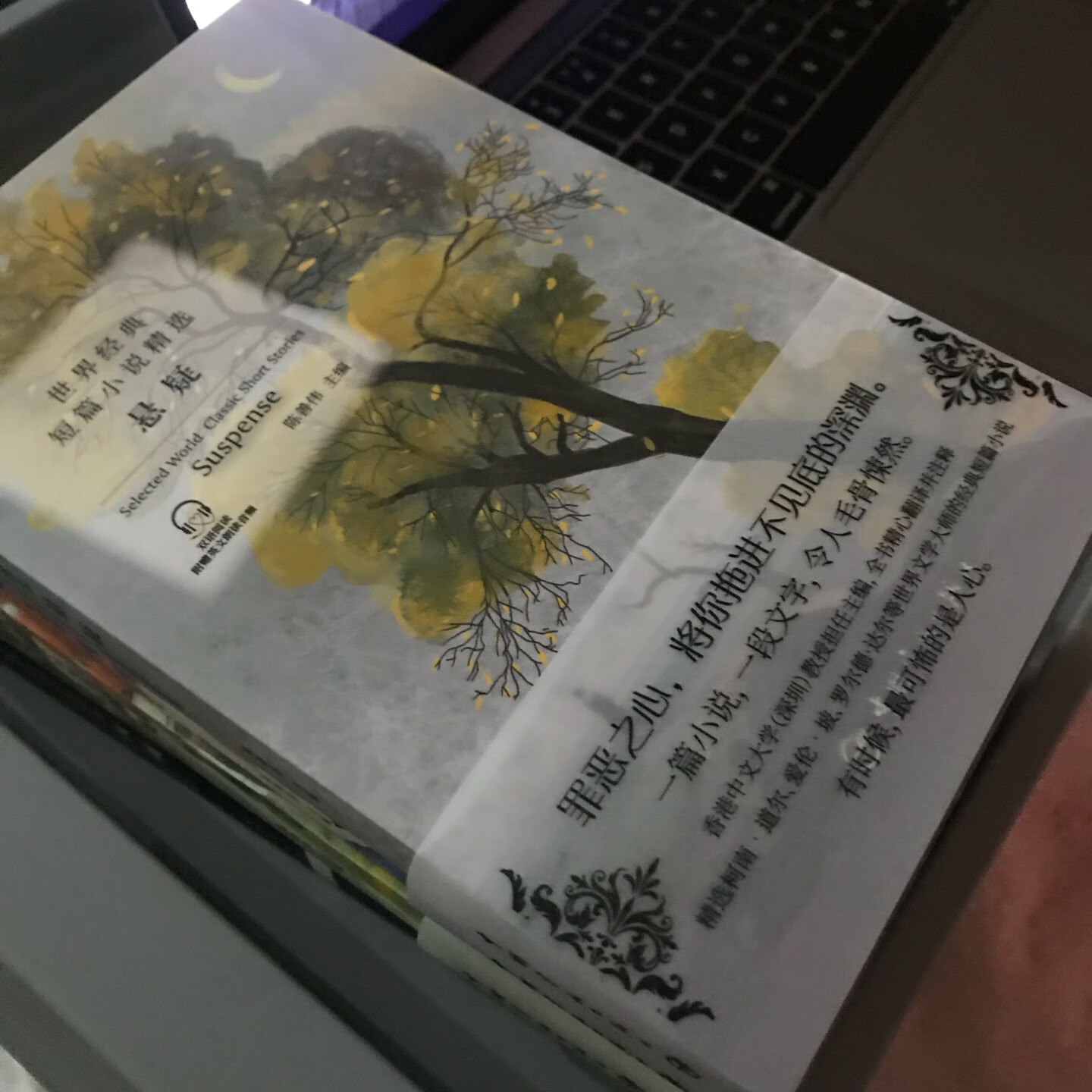 一本超好看的悬疑小说，主编还是香港中文大学的翻译教授，整套书都非常好。