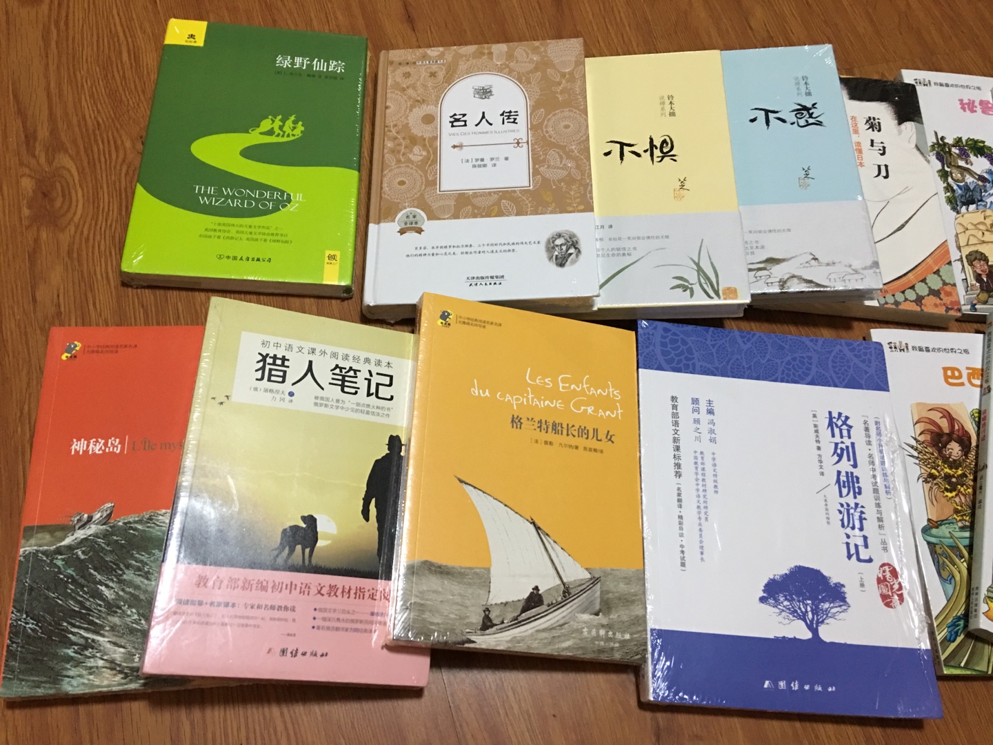 为了99块钱10本的活动我下了三次单，比五折或者满100减50合适，这次买的书估计看半年了