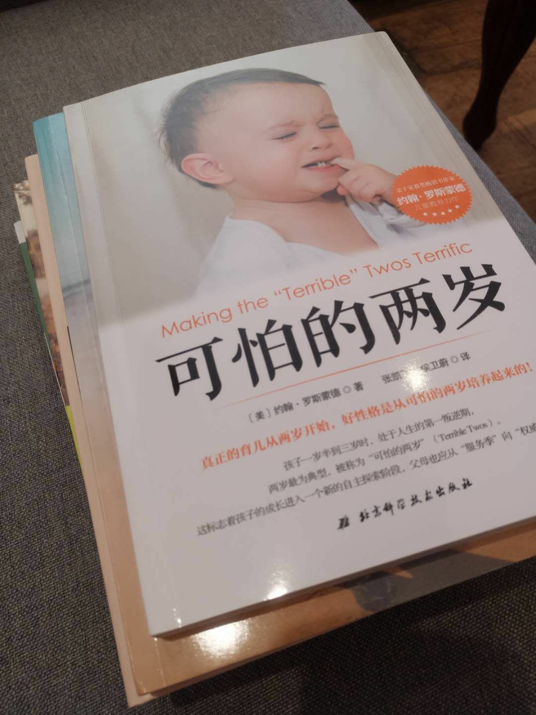 非常好的一本书 小孩到两岁 各种调皮 导致各种混乱 看了书 了解到这是发育正常情况 心理安慰许多