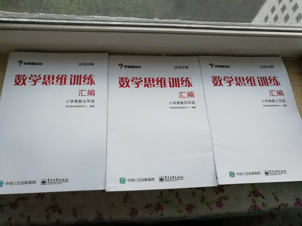 这套白皮书挺不错的，可以配套学而思的视频用，看完视频做做题正好