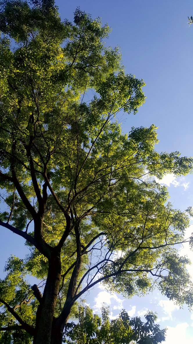 忘了点评了，浙江专用，不错不错呀一花独放不是春，百花齐放春满园。