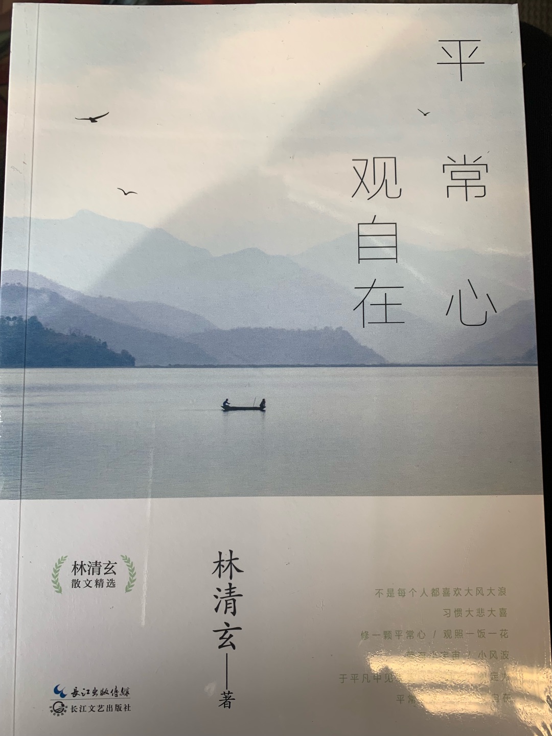 一口气买了好几本。从文字来体会大师的感受