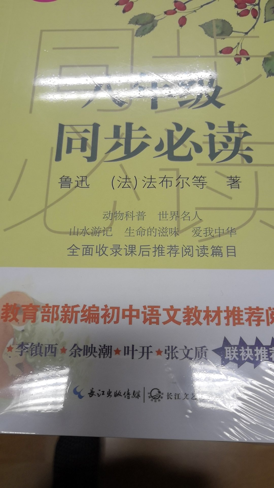 课余时间不妨读读书？孤陋寡闻的我不认识李镇西，余映潮，叶开，张文质！没文化真可怕！