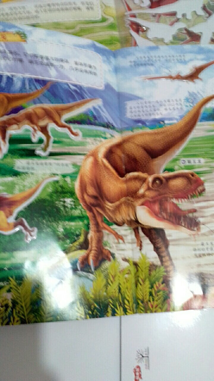 虽然说是贴纸书，但是对恐龙也有的一些简单的介绍，不错，玩了贴纸还进行了科普。
