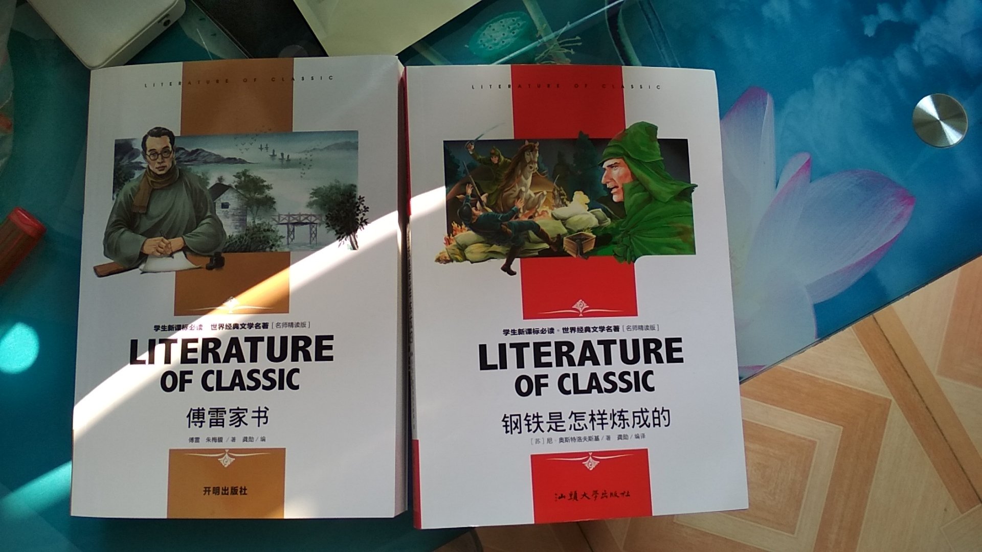 我家孩子上初二，这两本书很适合他看，一本傅雷家书，一本钢铁是怎样炼成的，很实惠。