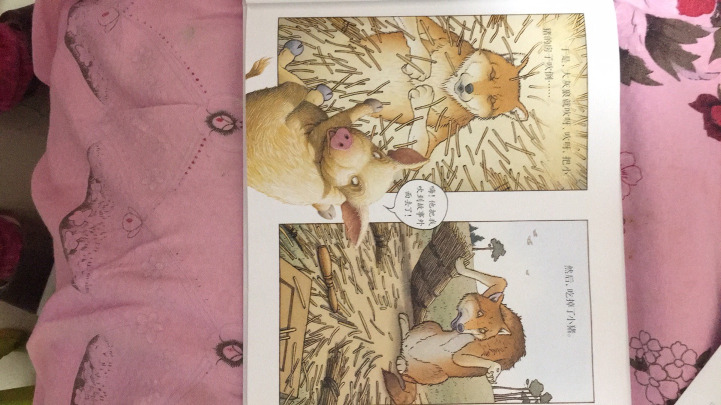 这本书反正3岁的孩子可能看不懂，三只小猪到了故事外，又把龙带回了故事里，大灰狼被吓跑了，故事有点抽象，还是等孩子上一年级再看吧……