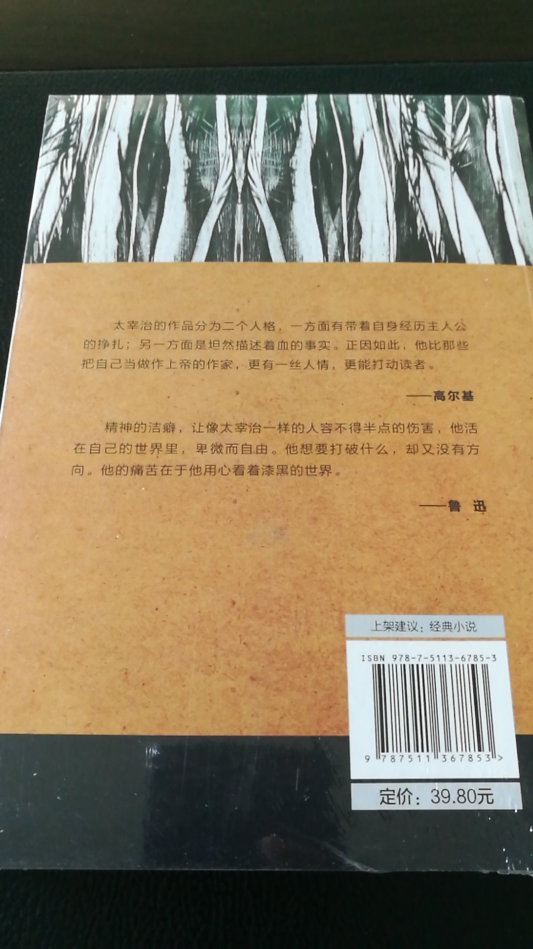 文字是深入灵魂的。这本书呢？除了让我们惊骇之外，更能引起反思。值得一读。