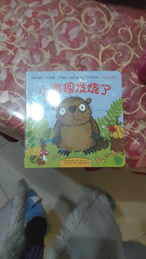 好萌好傻的海狸，讲了很多遍