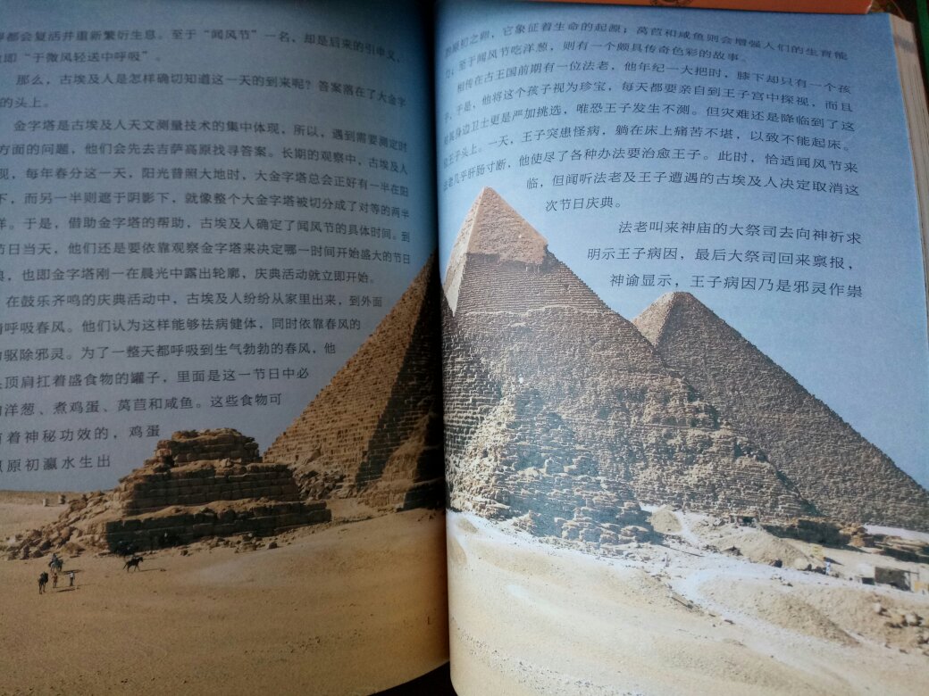 古埃及不同于现在的埃及，因为它的文明淹没在茫茫的沙漠里，没有传承下来。本书带读者走进神秘的法老的国度，了解古埃及的历史。本书图文并茂，可读性强，极力推荐。我去过埃及，行万里路之后再读此书，受益