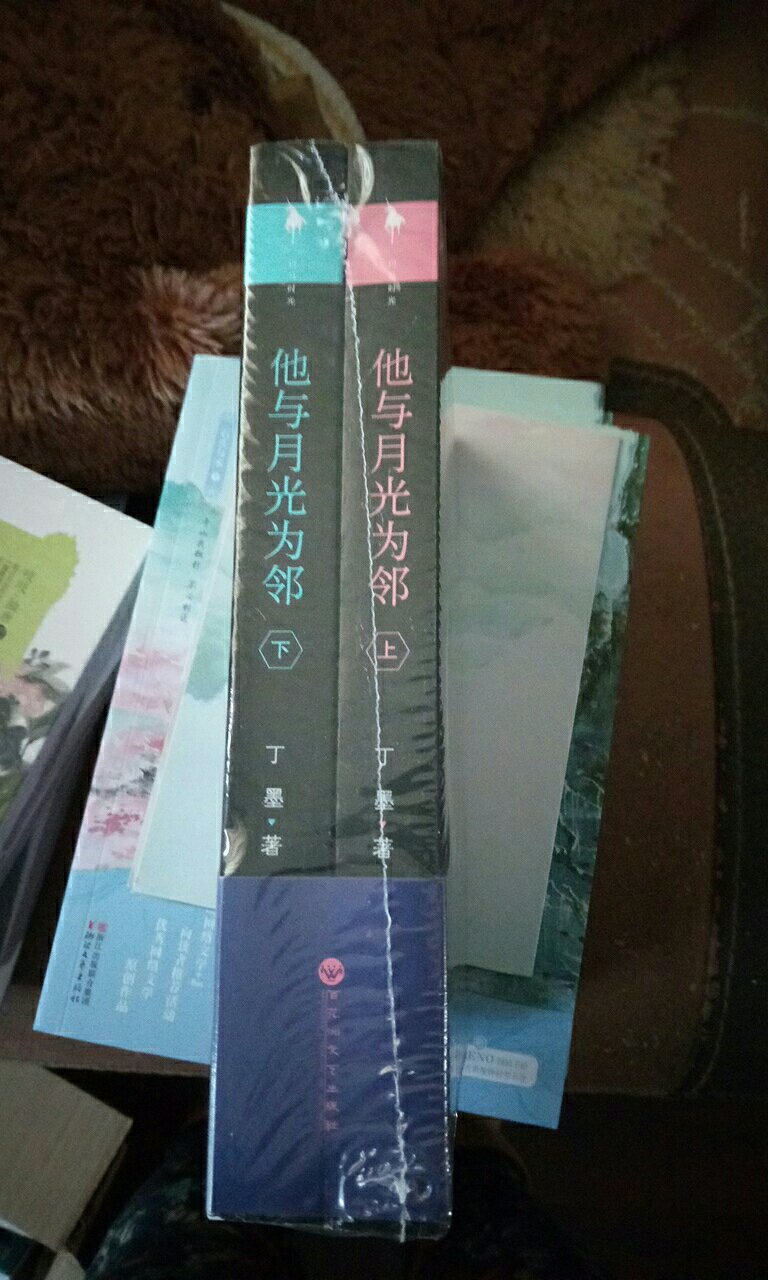 丁墨作品很靠谱，所以贵了点也值得买。相信过年宅在家有充分理由当沙发土豆。期待。