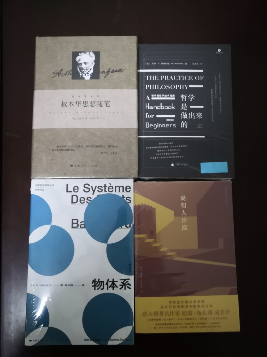 作者为哲学初学者授课的讲稿，后不断更新，此第三版是作者生前最终修订版。本书受世界多所大学哲学系好评，被列为教材。不同于一般的哲学导论，本书纯讲哲学“技术”：哲学论证的方法有哪些；什么样的哲学思考和论证才是有效的；面对一个问题时，应该如何分解问题、构建论证，如何批判地阅读前人在这一问题上的写作和论证，如何提出自己的原创性观点、形成哲学写作，等等。