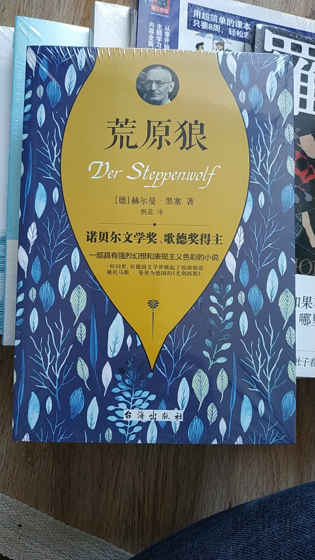 一直没有读的一本书，黑塞是我很喜欢的德国作家。希望这版翻译靠谱，别读不下去！