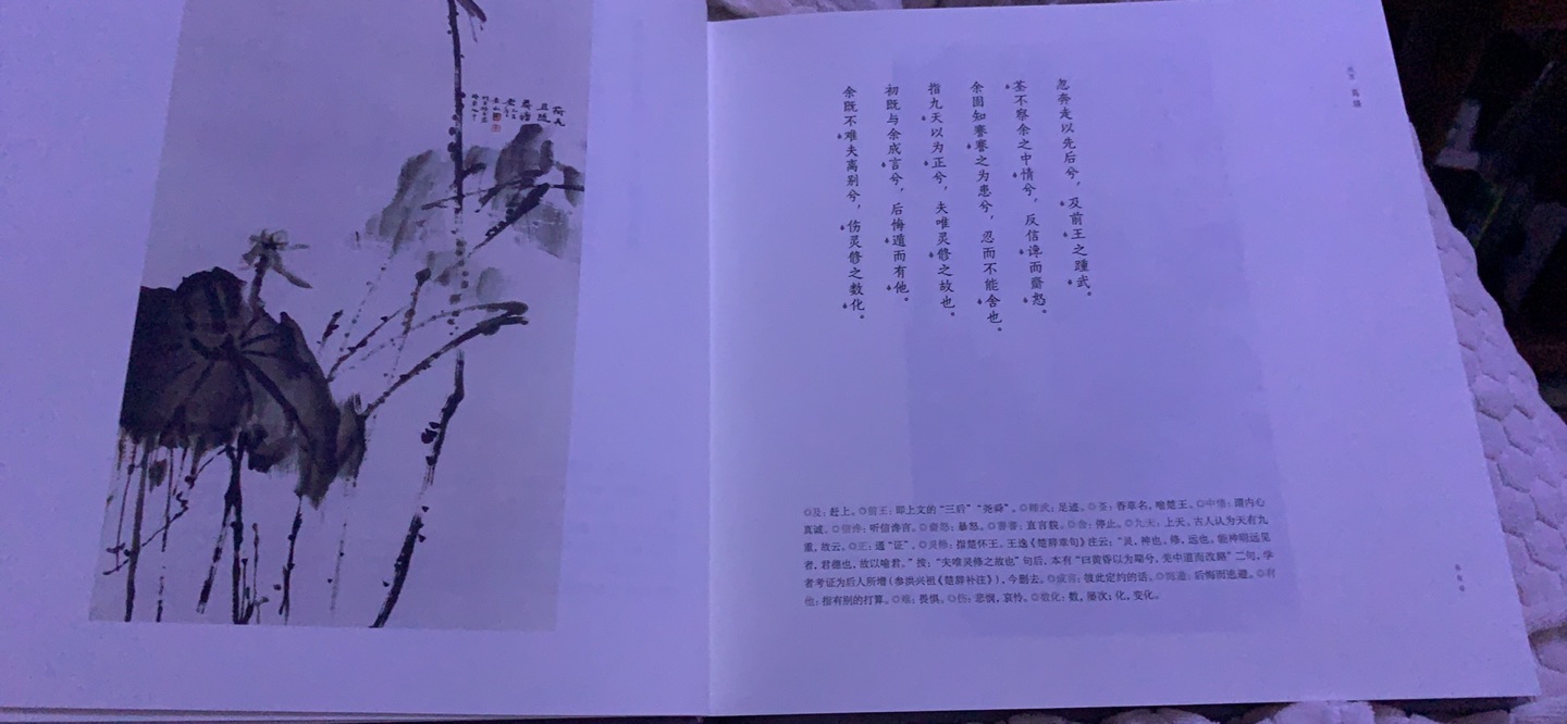 要不是搞活动 这么贵的价格真配不上黄老师的画作 物流和快递小哥没得说 赞