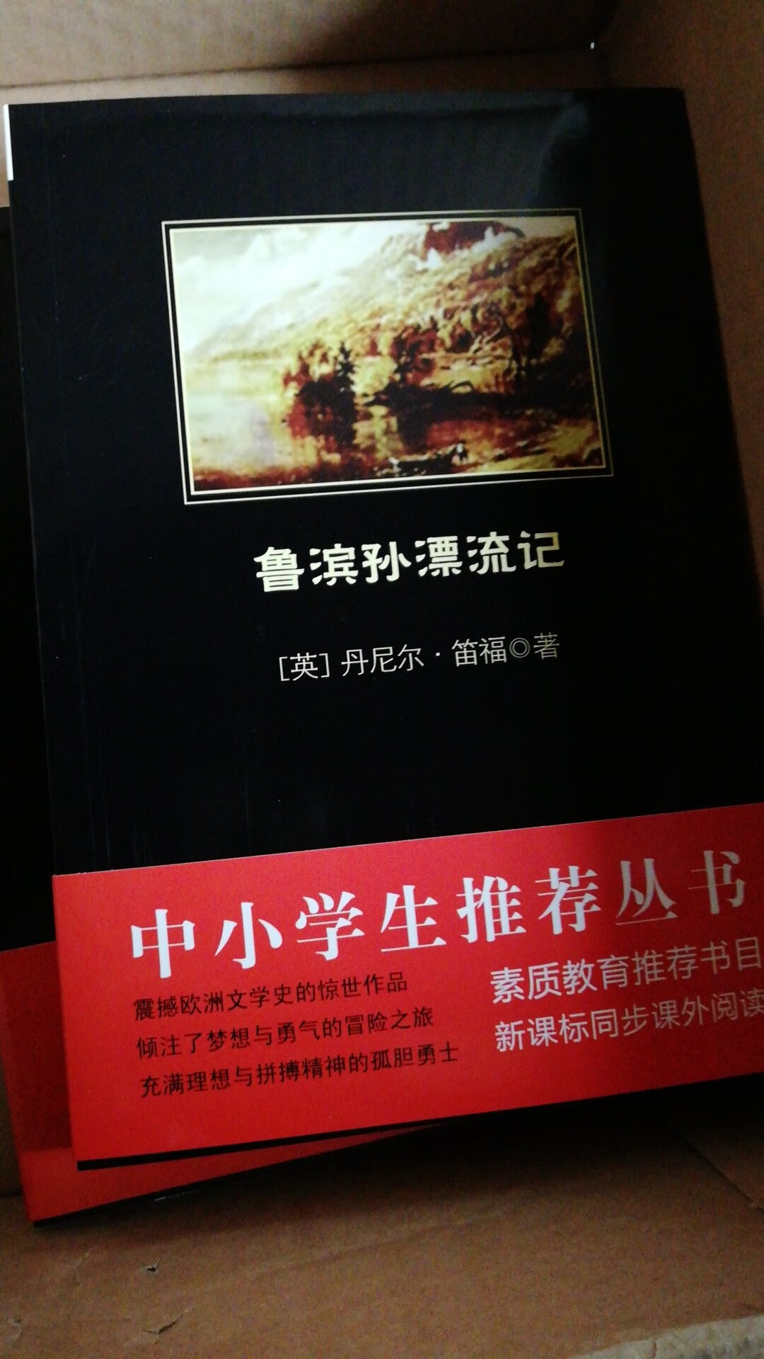 好像是飞机运过来的，晚上10:58分拍的，第二天中午11就到了，书也特别好，原版，下次有需要再来