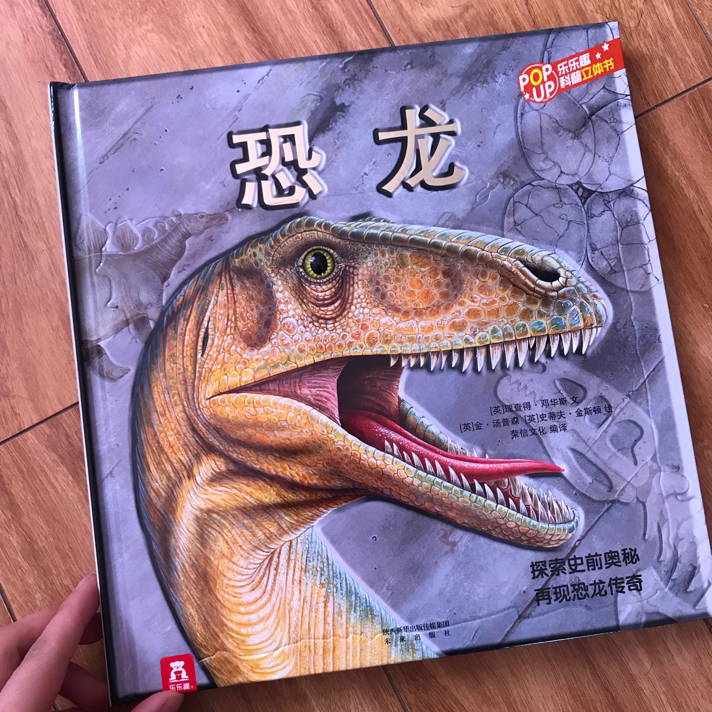 立体感超强的恐龙书，小孩子很喜欢。