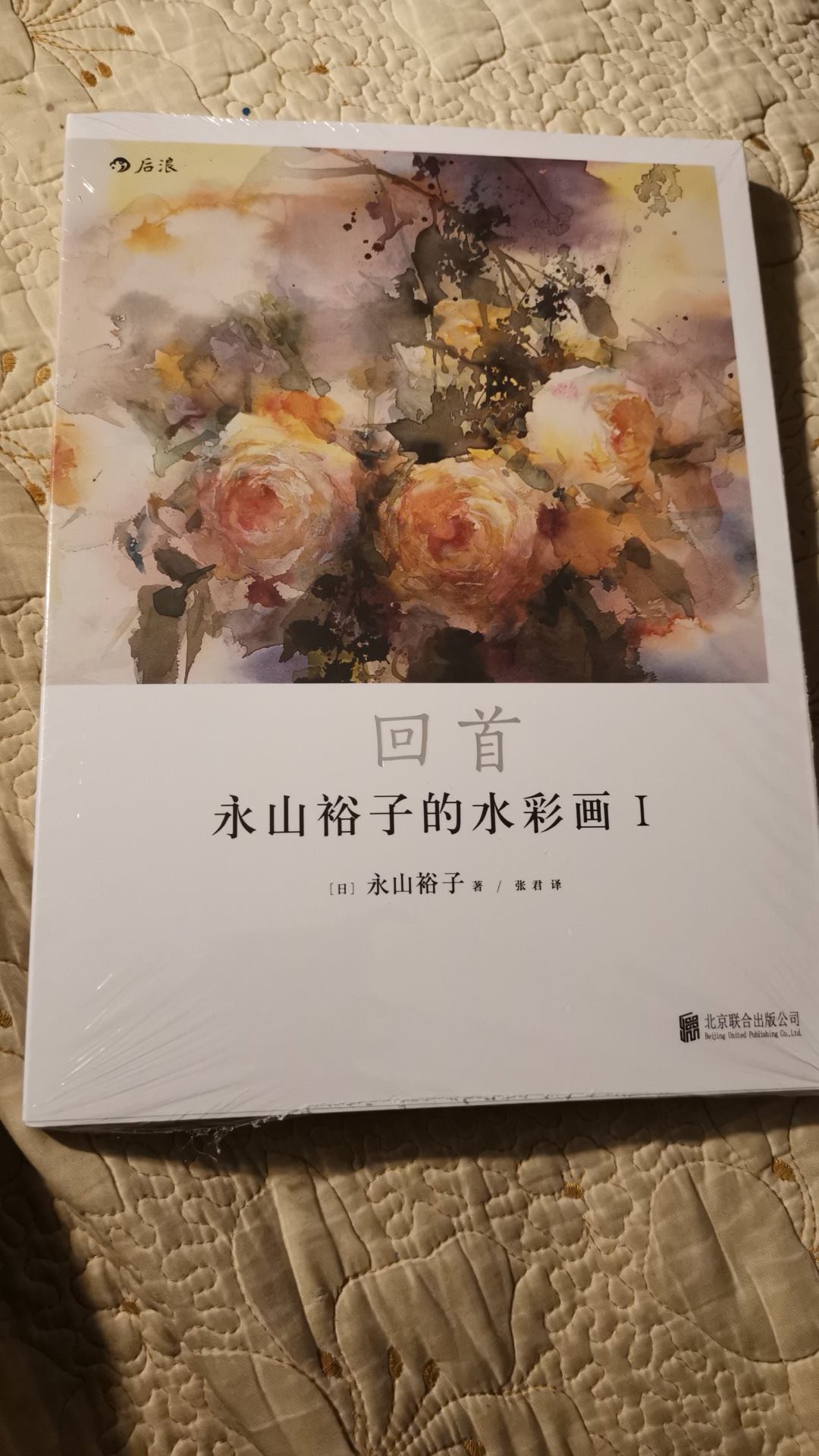 很好的一本书，这个~女画家有两把刷子，水彩画的功夫很高！