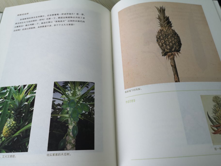 一本有些专业知识的植物书，比起其他只有图片和名称的要涨知识