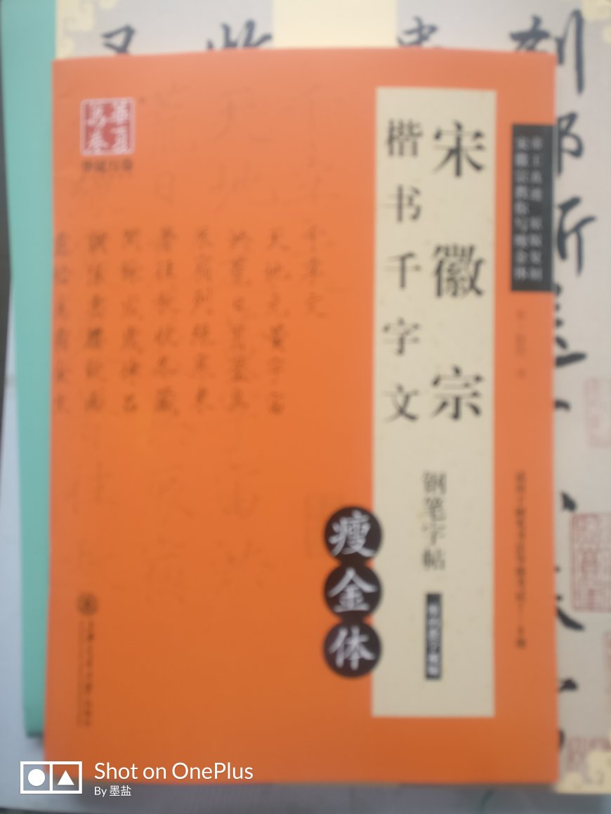 买了五本字帖，半价才五十一块多，塑料袋包装，灵飞经的尺寸很吓人，唐伯虎的行书以前只在网上看过，祝枝山文征明的行书也很好看，可惜没有这个活动，瘦金体在玩着练，王羲之的兰亭集序名头太大，想见识一下。在买书就得看有活动的时候，物超所值。物流一如既往的快。