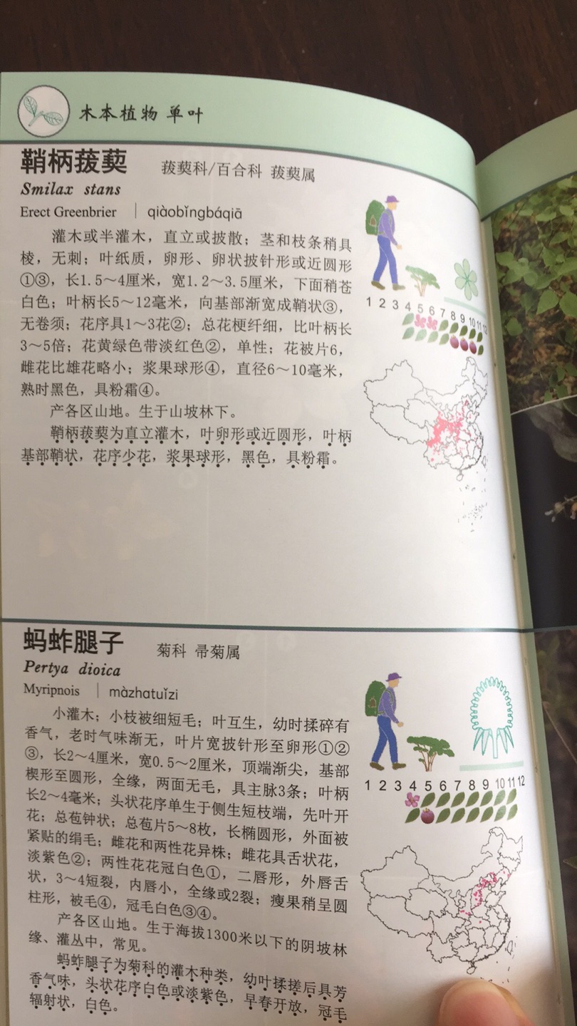 便携小辞典，外出游玩时可以用来查询辨识野外植物。内容挺丰富，北京地区的植物原来有这么多。还有个塑料书皮保护
