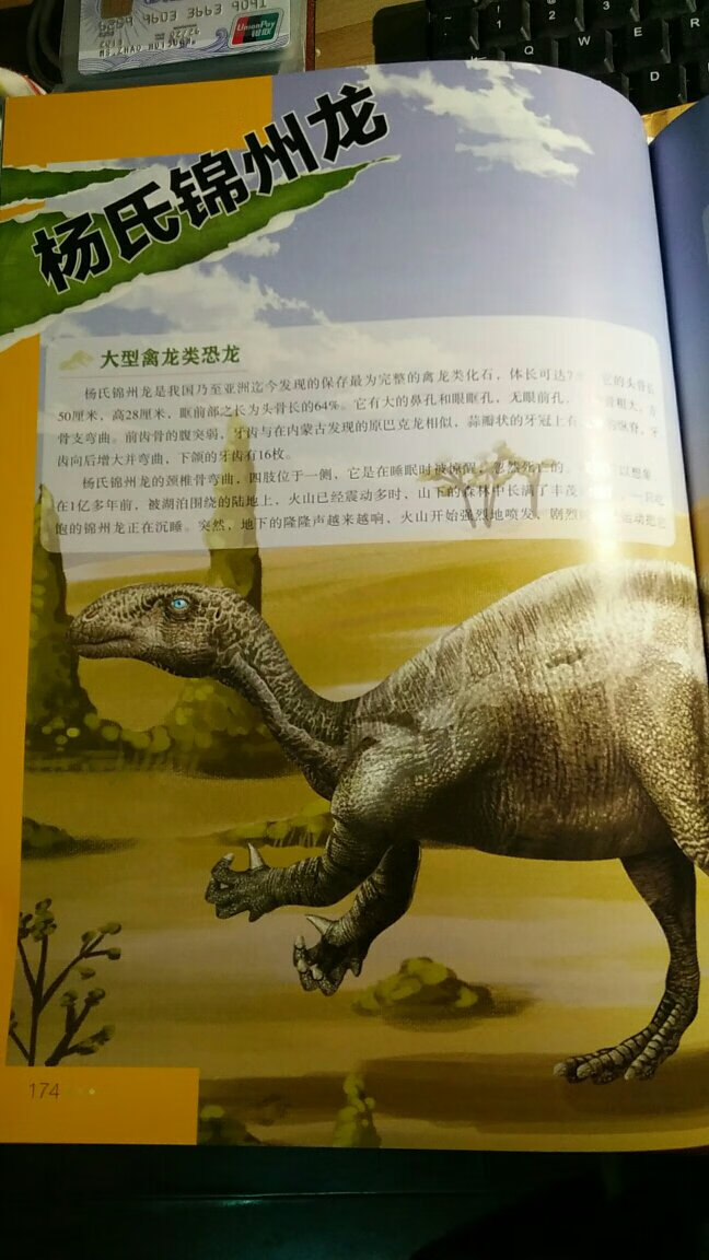 这个书收到真的惊到我了，很厚的一本，就像书名一样，中国恐龙百科全书，150种恐龙不为人知的生存与演化进城。讲到了恐龙的分类，生活的不同时期，辞源，标本，档案凤恐龙习性介绍，我家5岁的孩子看到后让爸爸给带着讲了很多。对于大人来讲，看了也能增长知识，我觉得更像一本大字典。但同时图文并茂，读起来没有枯燥。好评。
