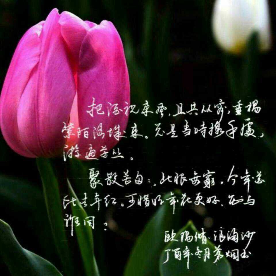 就像这世间没有任何两片树叶的纹理是一样的，幸福与幸福也不尽相同，没有一个人的生活会和别人重复。我们在仰望别人幸福的同时，别人也是以同样的姿态回望我们。没有谁的生活值得羡慕，过好自己的日子才是重中之重。 新的一天，早安。