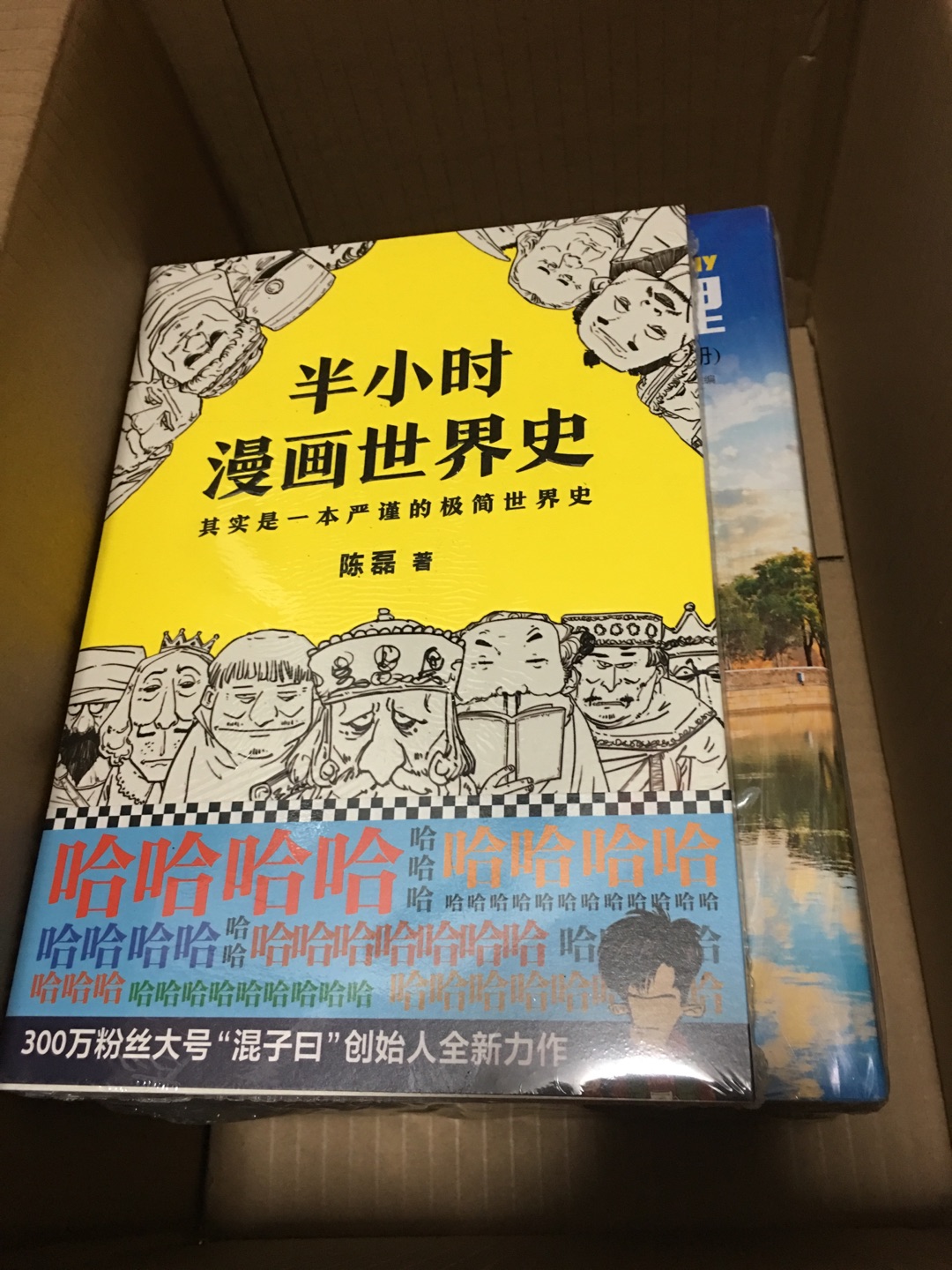 很好，简单、诙谐、有趣！重点突出，大人看了都会记住三分！值得拥有