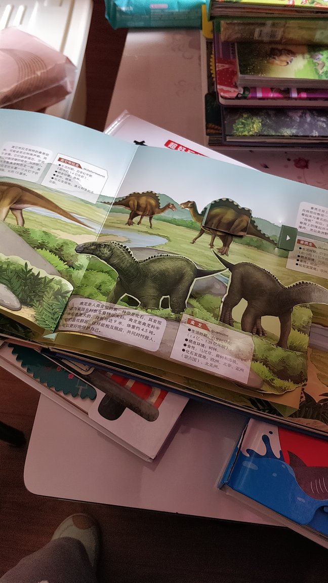 恐龙的画面都很生动，书的页面都挺硬的，不容易撕坏，印刷质量很好，色差都很清晰，颜色鲜艳，给孩子多看书少看手机