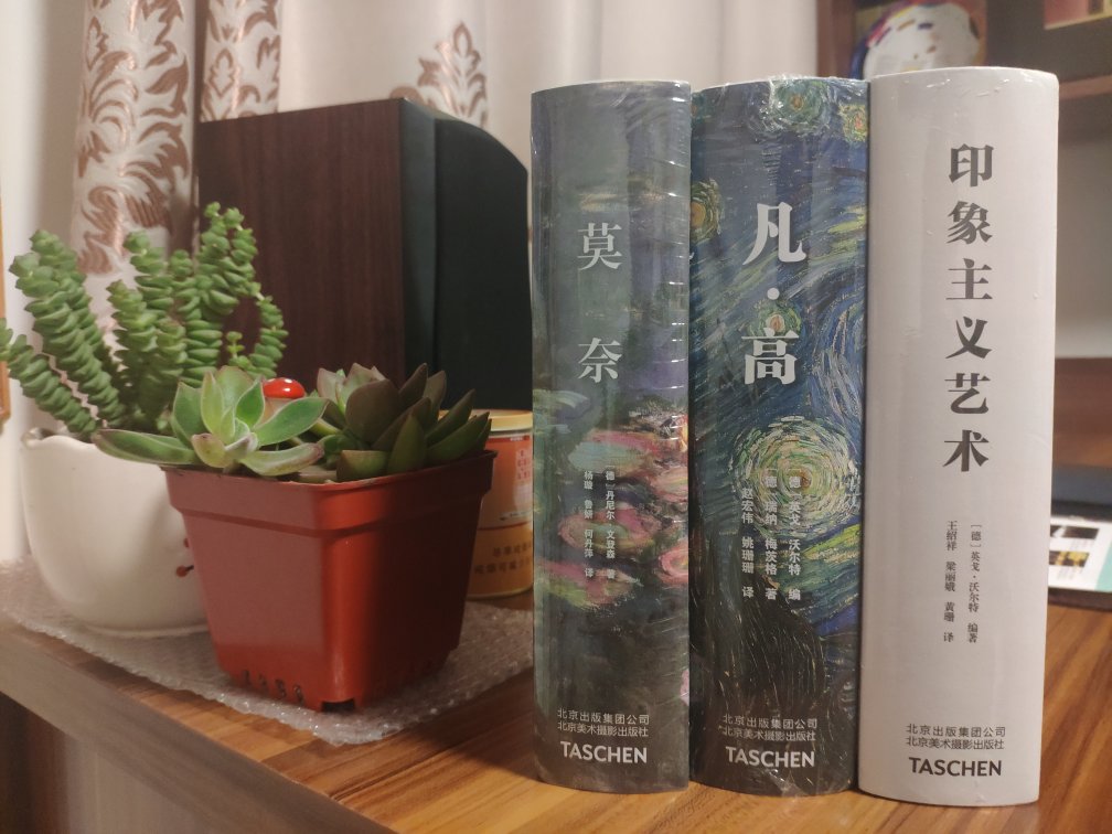 梵高在中国是家喻户晓，可是了解的多是皮毛和**。艺术历程却鲜有人知，TASCHEN在艺术入门读物领域颇有建树，让读者走进他的创作生涯。