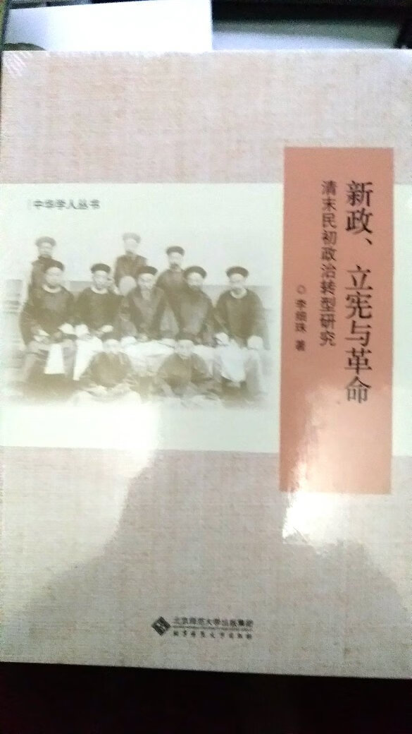 本书是论文集，对当时中国政治舞台上的清**、立宪派和革命派及他们各自设计的不同的政治方案，做了一番梳理。