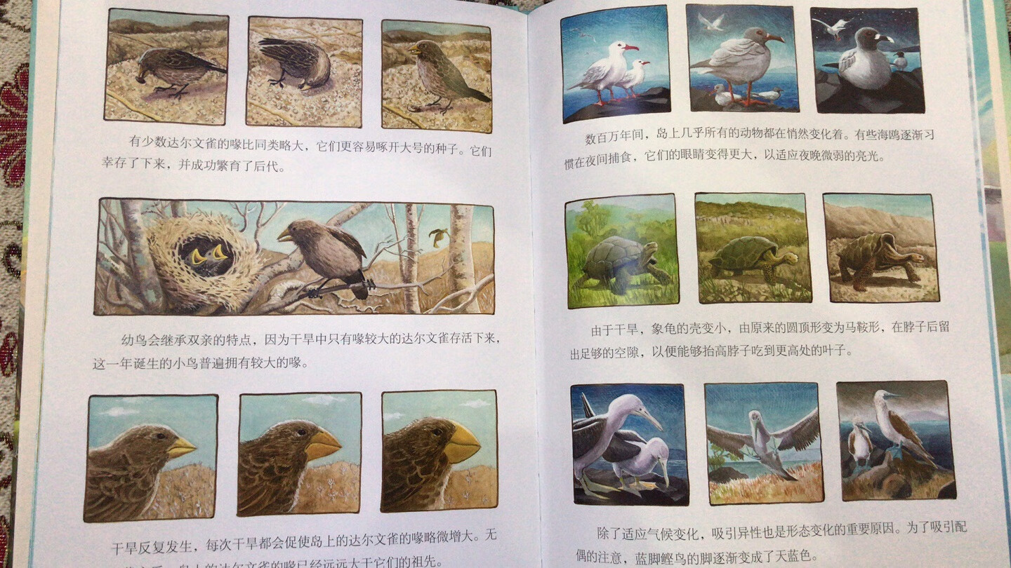 推荐这本书，非常好，了解岛屿的形成和物种进化，图片美，排版也好