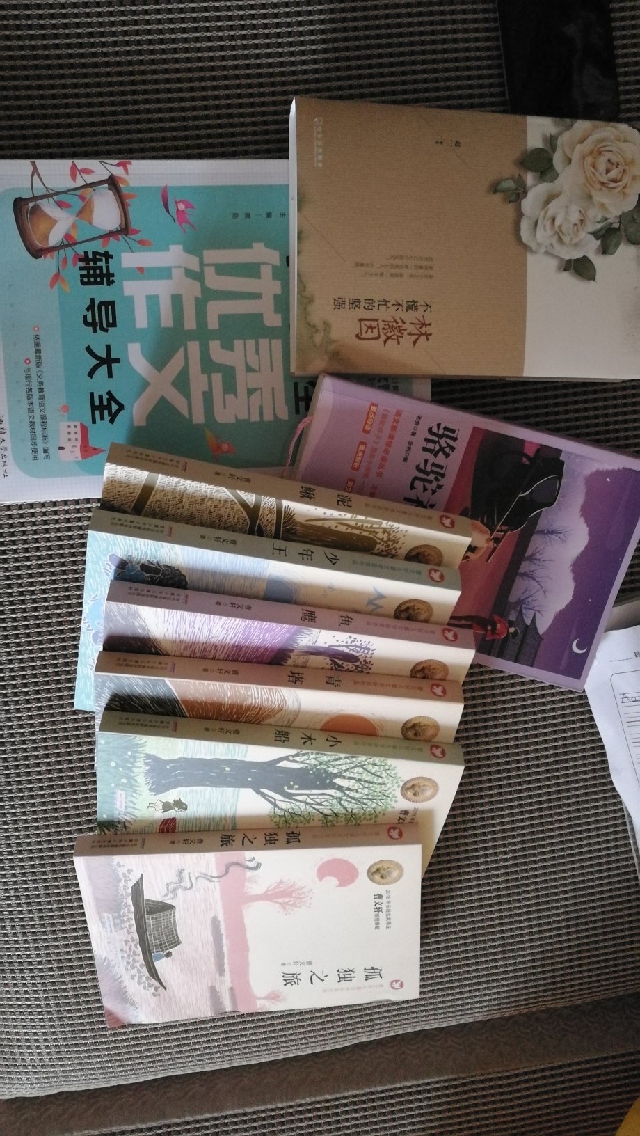 挺好的，给孩子买的书，质量不错。印刷和纸张都挺好。支持！希望孩子喜欢看！